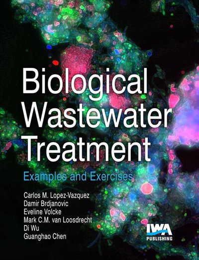 Biological Wastewater Treatment: Examples and Exercises